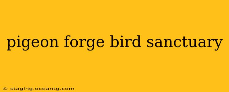 pigeon forge bird sanctuary