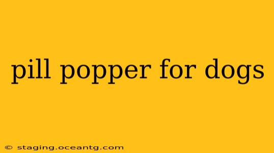 pill popper for dogs