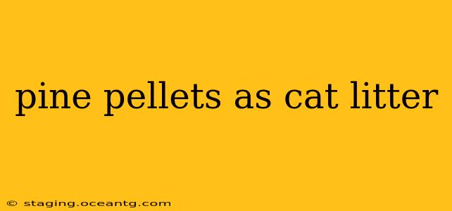 pine pellets as cat litter