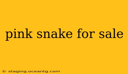 pink snake for sale