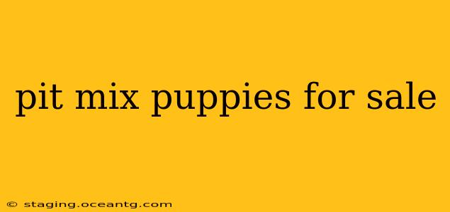pit mix puppies for sale