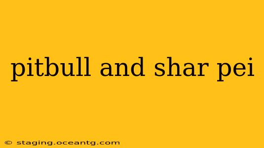 pitbull and shar pei