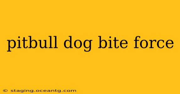 pitbull dog bite force