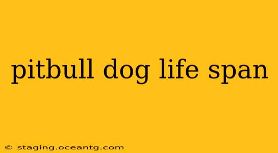 pitbull dog life span