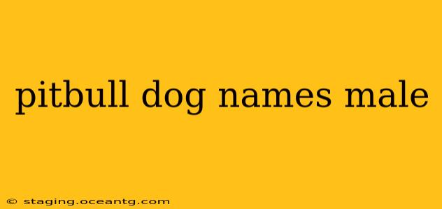pitbull dog names male