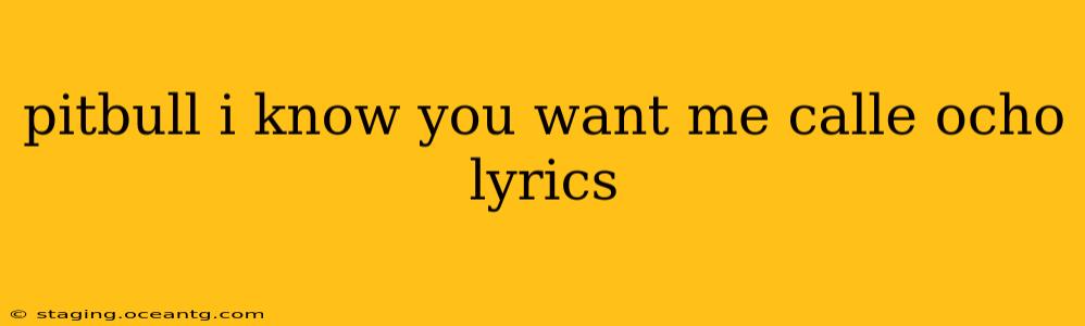pitbull i know you want me calle ocho lyrics