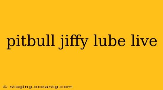 pitbull jiffy lube live