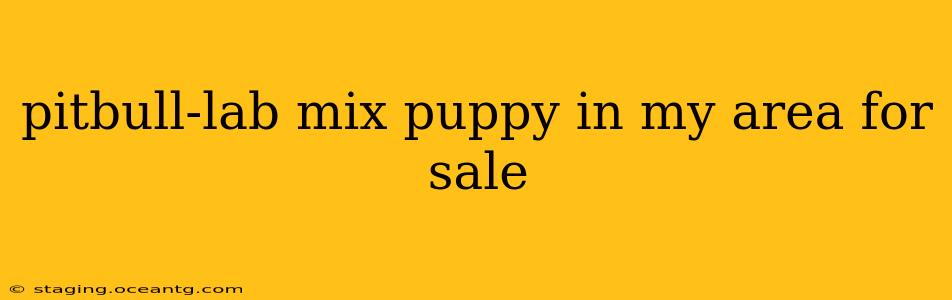 pitbull-lab mix puppy in my area for sale