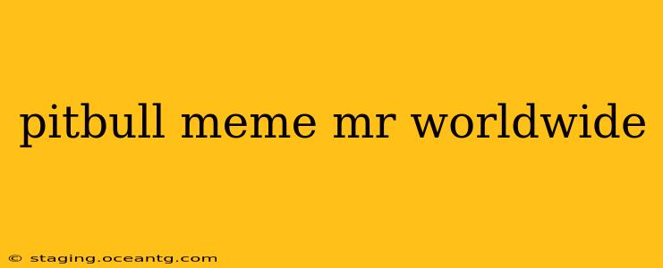 pitbull meme mr worldwide