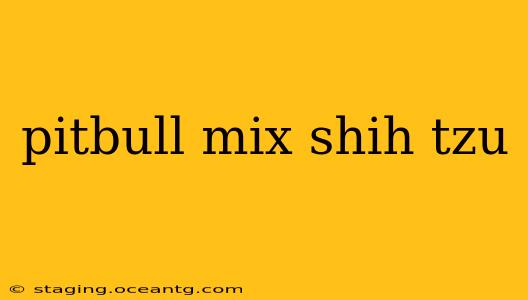 pitbull mix shih tzu