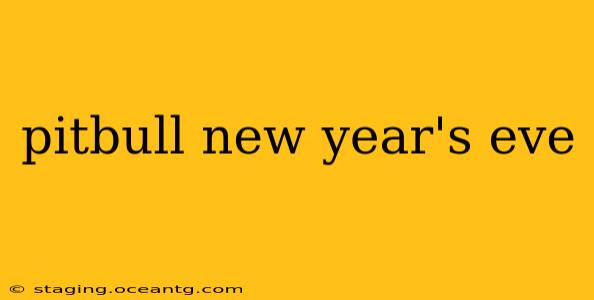 pitbull new year's eve