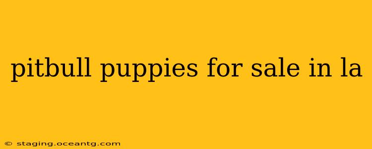 pitbull puppies for sale in la