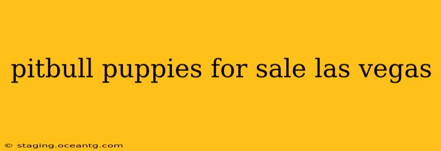 pitbull puppies for sale las vegas