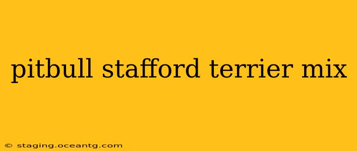 pitbull stafford terrier mix