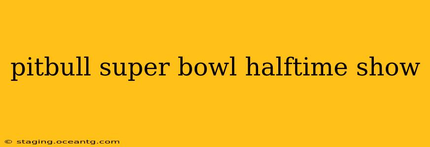pitbull super bowl halftime show
