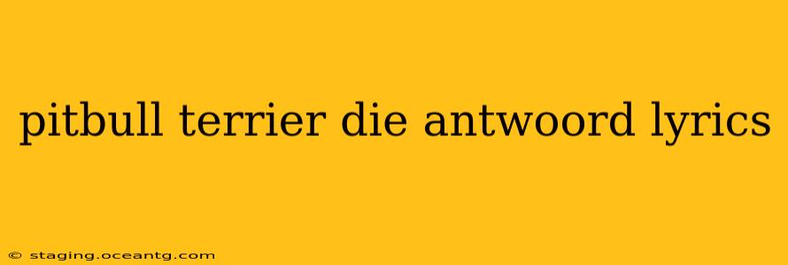 pitbull terrier die antwoord lyrics