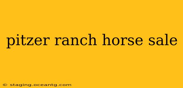 pitzer ranch horse sale