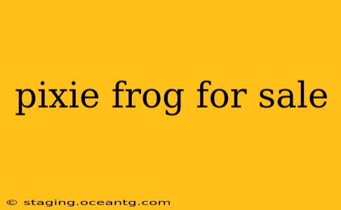 pixie frog for sale