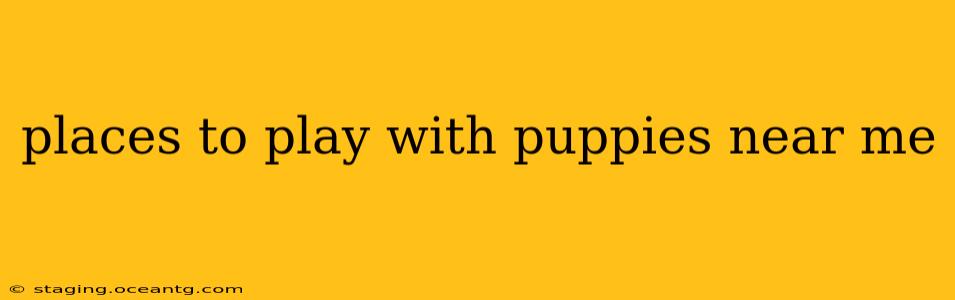 places to play with puppies near me