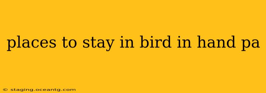 places to stay in bird in hand pa