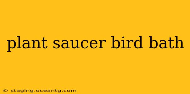plant saucer bird bath