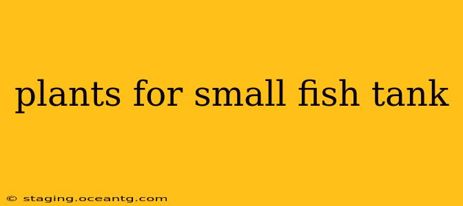 plants for small fish tank