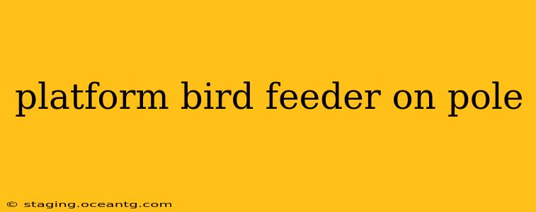 platform bird feeder on pole