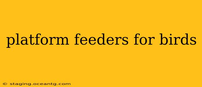 platform feeders for birds