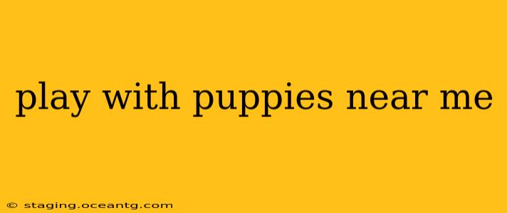 play with puppies near me