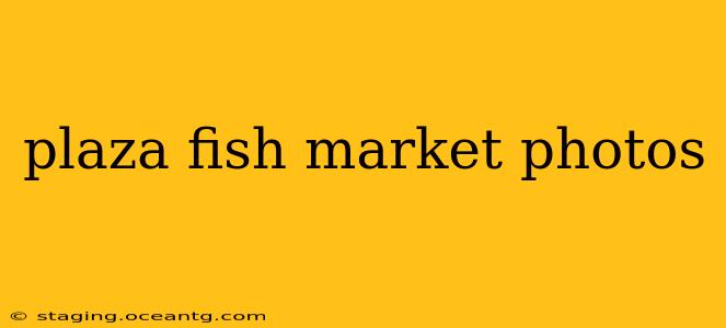 plaza fish market photos