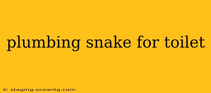 plumbing snake for toilet