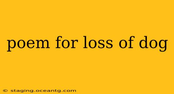 poem for loss of dog