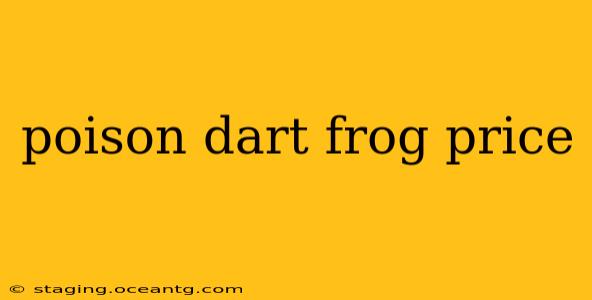 poison dart frog price