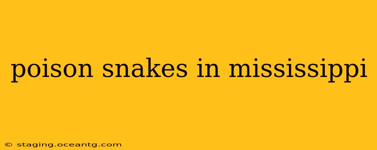 poison snakes in mississippi