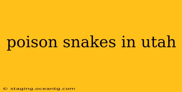 poison snakes in utah