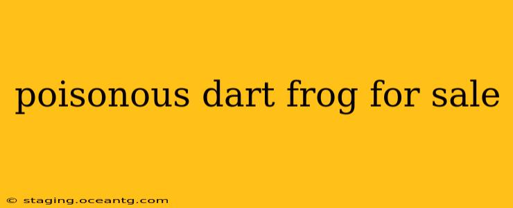 poisonous dart frog for sale