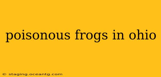 poisonous frogs in ohio