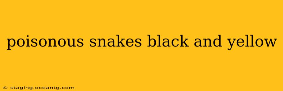 poisonous snakes black and yellow