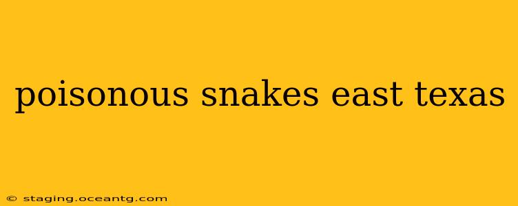 poisonous snakes east texas