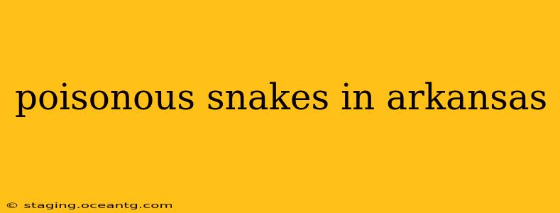 poisonous snakes in arkansas