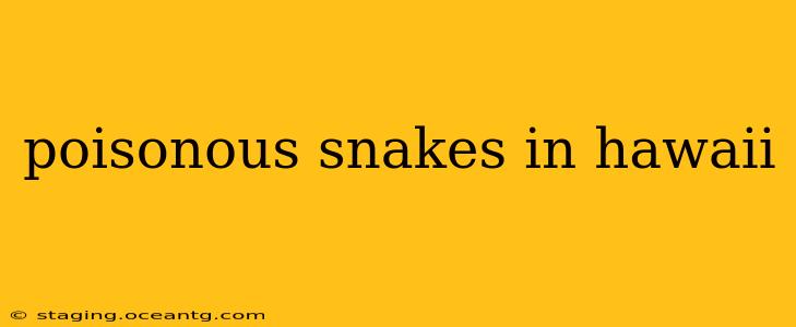 poisonous snakes in hawaii