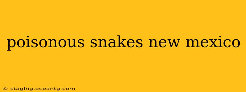 poisonous snakes new mexico