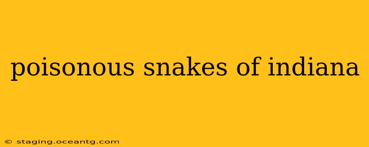 poisonous snakes of indiana
