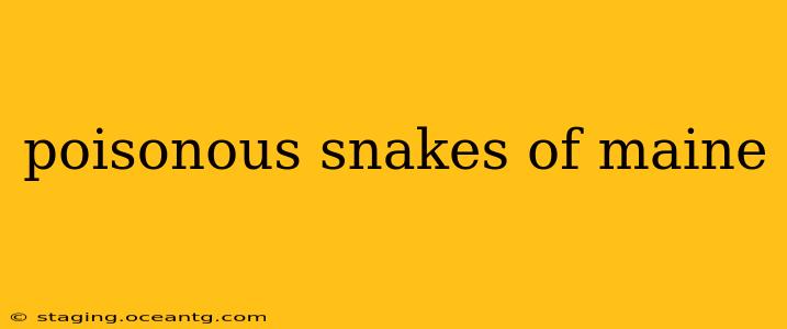 poisonous snakes of maine