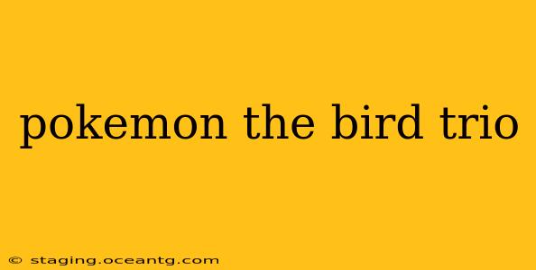 pokemon the bird trio