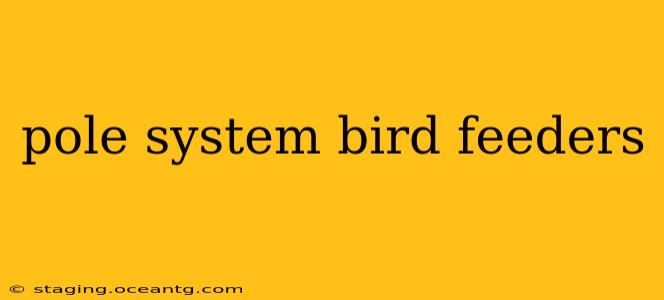 pole system bird feeders