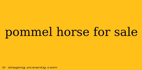 pommel horse for sale