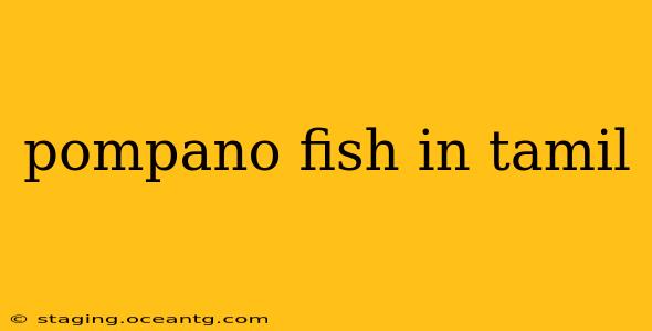 pompano fish in tamil