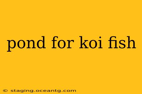 pond for koi fish