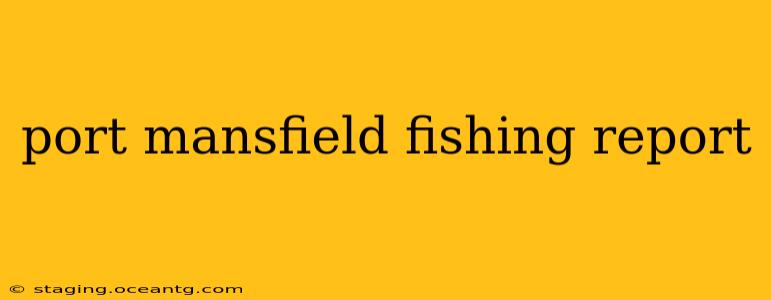 port mansfield fishing report